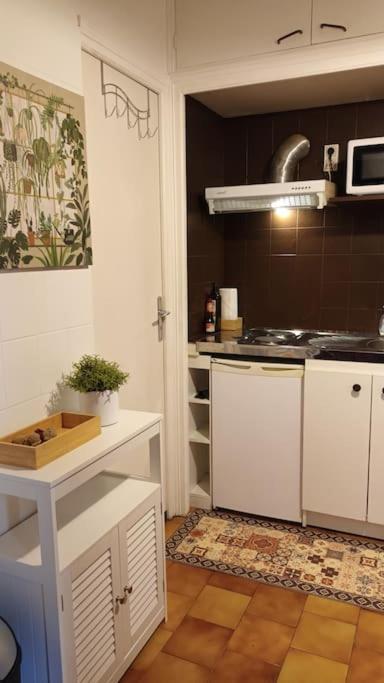 Petit Mignon - Hypercentre Toulouse Lejlighed Eksteriør billede